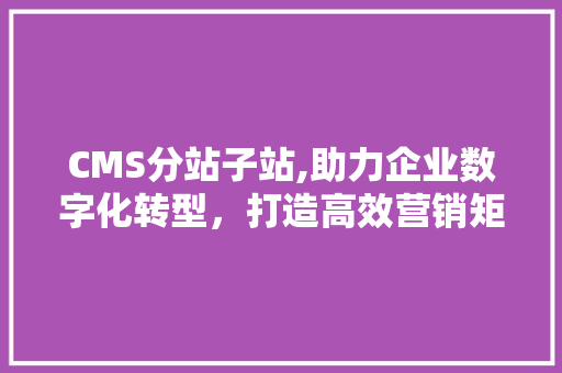 CMS分站子站,助力企业数字化转型，打造高效营销矩阵 seo技术