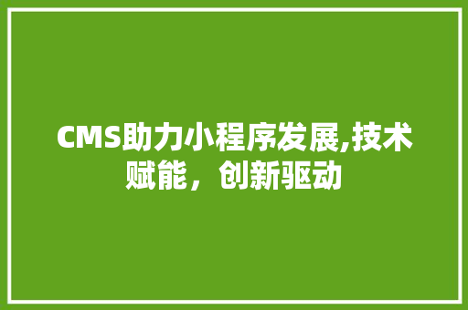 CMS助力小程序发展,技术赋能，创新驱动 网站开发