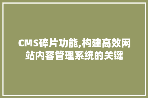 CMS碎片功能,构建高效网站内容管理系统的关键