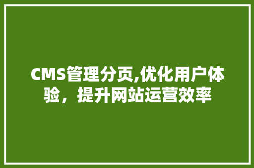 CMS管理分页,优化用户体验，提升网站运营效率
