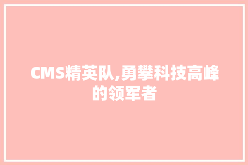 CMS精英队,勇攀科技高峰的领军者 小程序开发