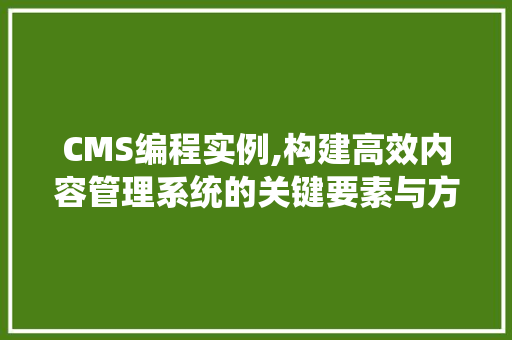 CMS编程实例,构建高效内容管理系统的关键要素与方法探索 网站开发