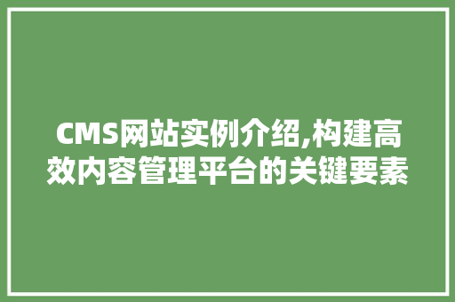CMS网站实例介绍,构建高效内容管理平台的关键要素
