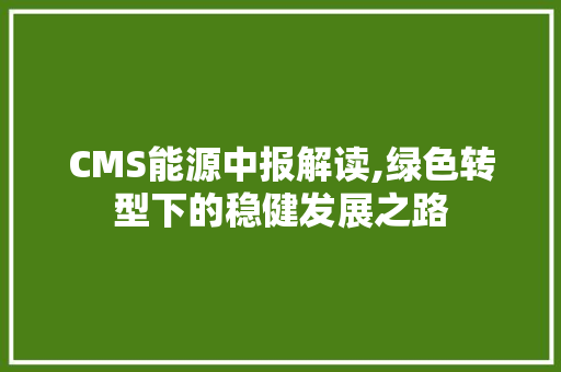 CMS能源中报解读,绿色转型下的稳健发展之路