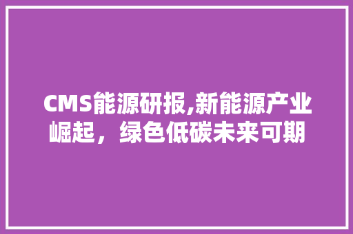 CMS能源研报,新能源产业崛起，绿色低碳未来可期 AI技术学习
