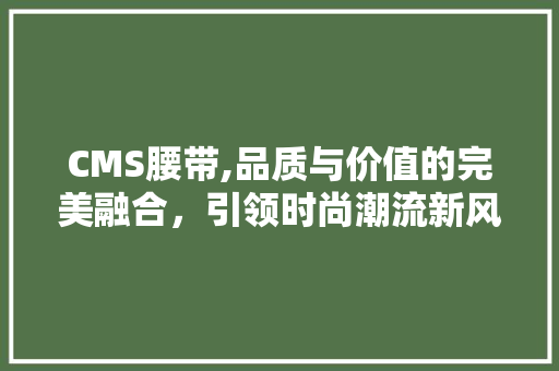 CMS腰带,品质与价值的完美融合，引领时尚潮流新风向