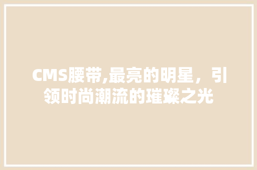 CMS腰带,最亮的明星，引领时尚潮流的璀璨之光