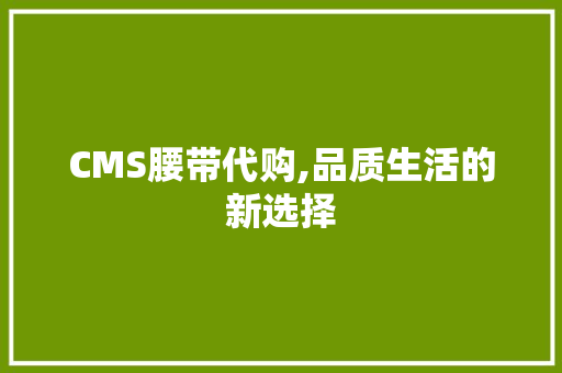 CMS腰带代购,品质生活的新选择