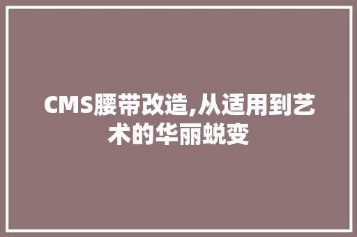 CMS腰带改造,从适用到艺术的华丽蜕变 小程序开发