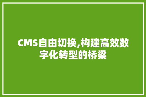 CMS自由切换,构建高效数字化转型的桥梁