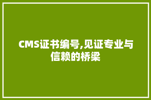 CMS证书编号,见证专业与信赖的桥梁 网站优化