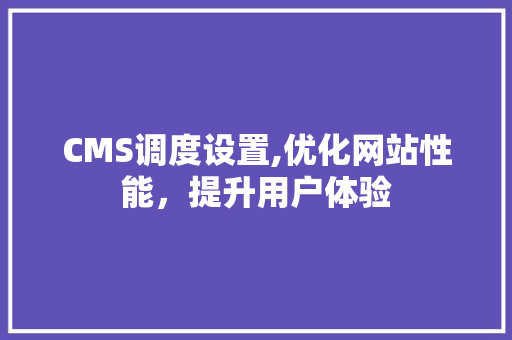 CMS调度设置,优化网站性能，提升用户体验