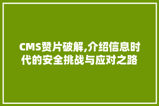 CMS赞片破解,介绍信息时代的安全挑战与应对之路