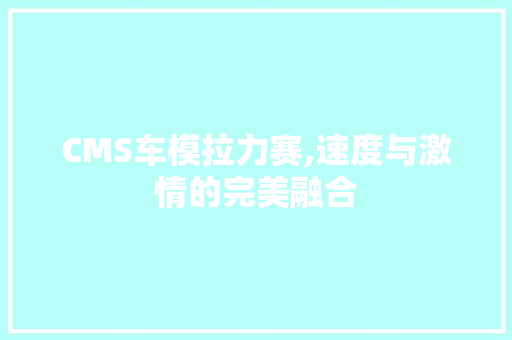 CMS车模拉力赛,速度与激情的完美融合