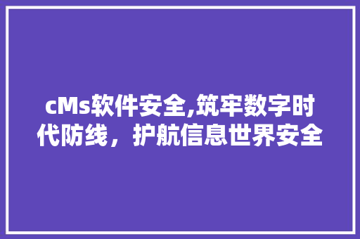 cMs软件安全,筑牢数字时代防线，护航信息世界安全