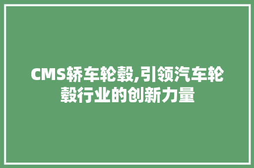 CMS轿车轮毂,引领汽车轮毂行业的创新力量