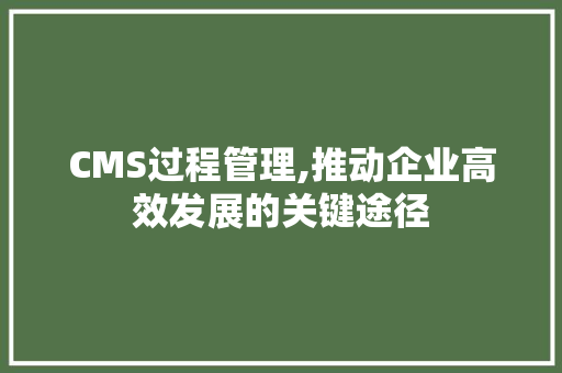 CMS过程管理,推动企业高效发展的关键途径