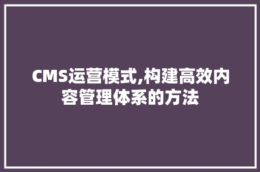 CMS运营模式,构建高效内容管理体系的方法
