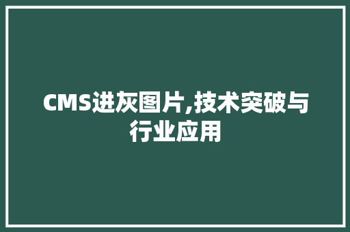 CMS进灰图片,技术突破与行业应用