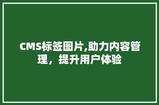 CMS标签图片,助力内容管理，提升用户体验
