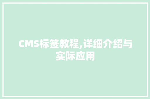 CMS标签教程,详细介绍与实际应用 英文谷歌算法