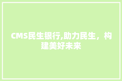CMS民生银行,助力民生，构建美好未来
