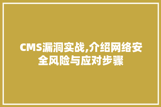 CMS漏洞实战,介绍网络安全风险与应对步骤