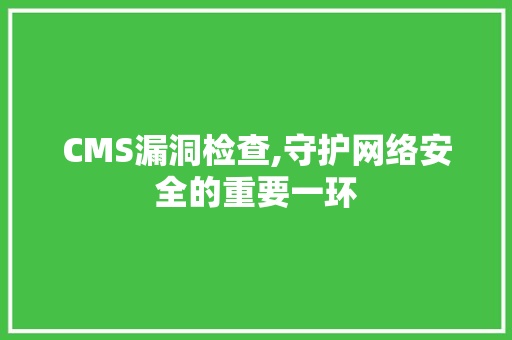 CMS漏洞检查,守护网络安全的重要一环 头条优化
