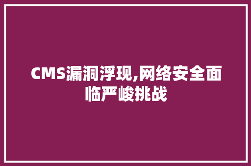 CMS漏洞浮现,网络安全面临严峻挑战 seo技术