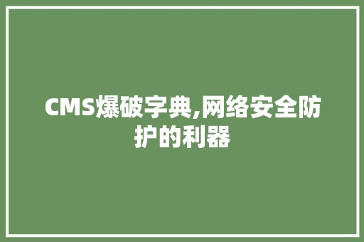 CMS爆破字典,网络安全防护的利器 360搜优化