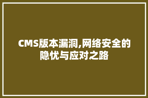 CMS版本漏洞,网络安全的隐忧与应对之路