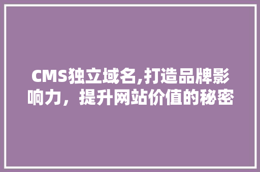CMS独立域名,打造品牌影响力，提升网站价值的秘密武器