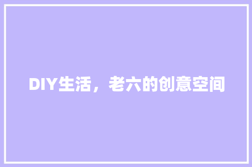 DIY生活，老六的创意空间