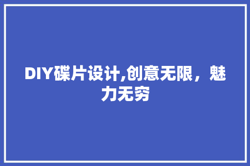 DIY碟片设计,创意无限，魅力无穷 头条优化