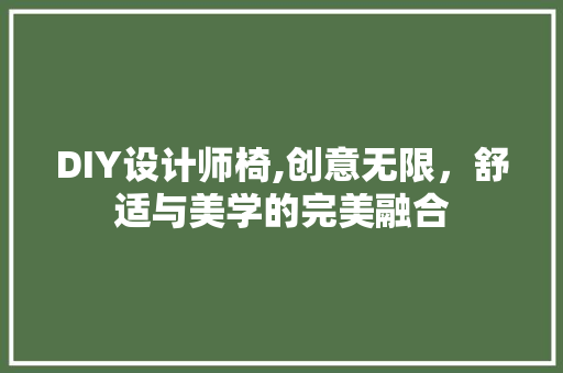 DIY设计师椅,创意无限，舒适与美学的完美融合