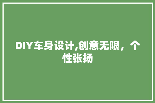 DIY车身设计,创意无限，个性张扬