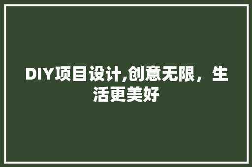DIY项目设计,创意无限，生活更美好