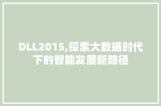 DLL2015,探索大数据时代下的智能发展新路径