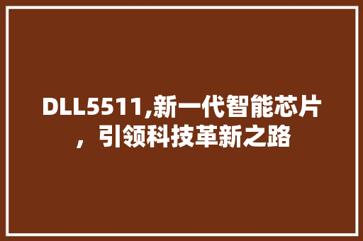 DLL5511,新一代智能芯片，引领科技革新之路