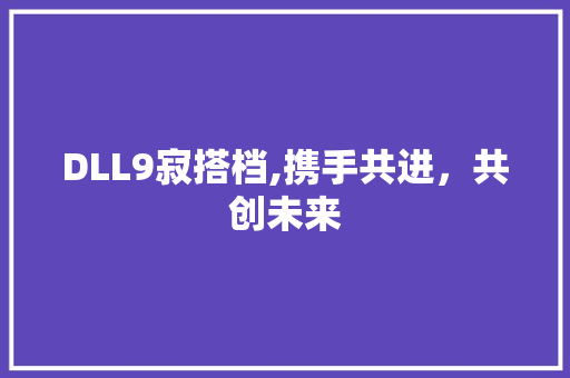 DLL9寂搭档,携手共进，共创未来