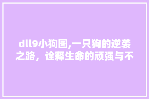 dll9小狗图,一只狗的逆袭之路，诠释生命的顽强与不屈
