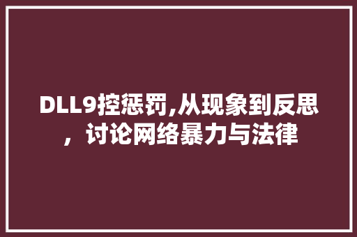 DLL9控惩罚,从现象到反思，讨论网络暴力与法律
