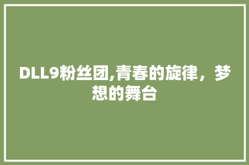 DLL9粉丝团,青春的旋律，梦想的舞台