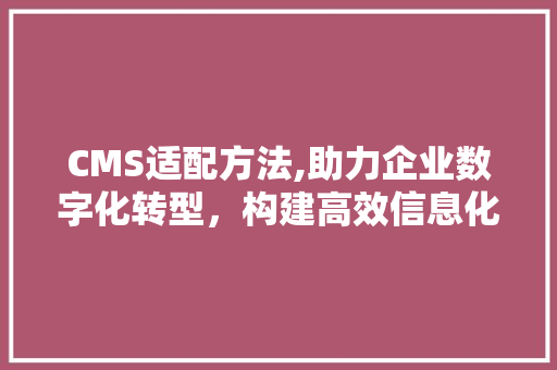 CMS适配方法,助力企业数字化转型，构建高效信息化平台