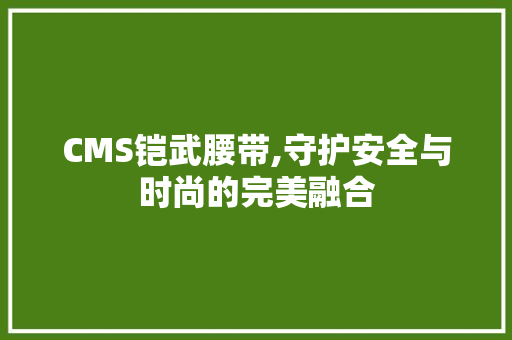 CMS铠武腰带,守护安全与时尚的完美融合