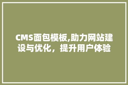 CMS面包模板,助力网站建设与优化，提升用户体验