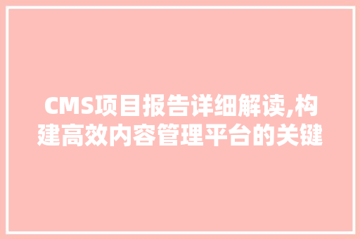 CMS项目报告详细解读,构建高效内容管理平台的关键要素
