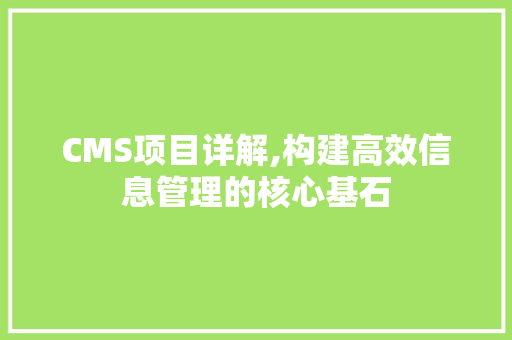 CMS项目详解,构建高效信息管理的核心基石 360搜优化