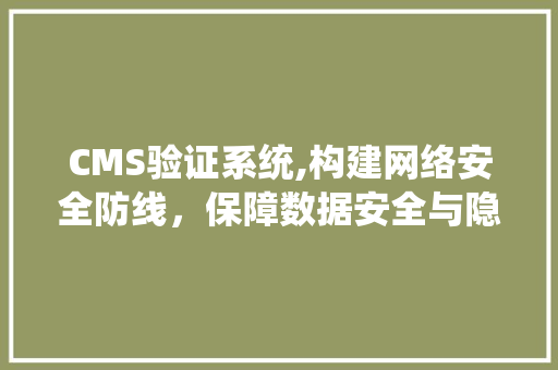 CMS验证系统,构建网络安全防线，保障数据安全与隐私