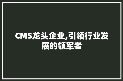 CMS龙头企业,引领行业发展的领军者 网站开发